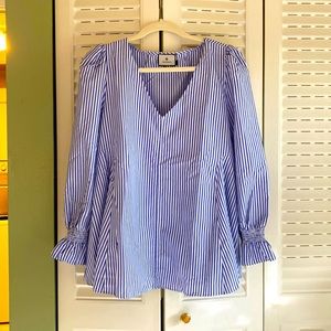 Tuckernuck blue/white striped blouse.